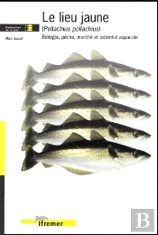 Le Lieu Jaune (Pollachius Pollachius) - Biologie, Peche, Marche Et Potentiel Aquacole