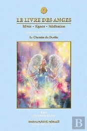 Le Livre Des Anges Tome 4 ; Le Chemin Du Destin ; Angéologie Traditionnelle