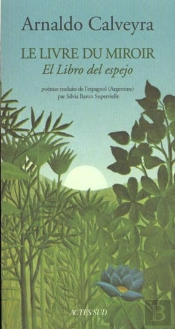 Le Livre Du Miroir