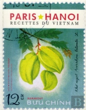 Le Livre Du Vietnam