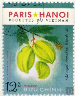 Bertrand.pt - Le Livre Du Vietnam