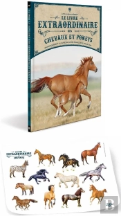 Le Livre Extraordinaire Des Chevaux