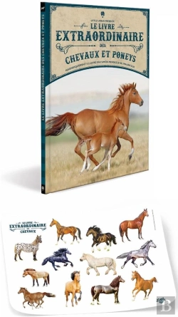 Bertrand.pt - Le Livre Extraordinaire Des Chevaux