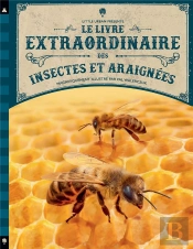 Le Livre Extraordinaire Des Insectes Et Araignées