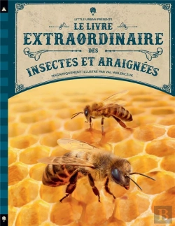 Bertrand.pt - Le Livre Extraordinaire Des Insectes Et Araignées