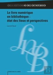 Le Livre Numérique En Bibliothèque : État Des Lieux Et Perspectives
