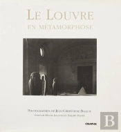 Le Louvre En Métamorphose