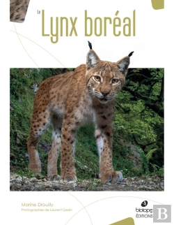 Bertrand.pt - Le Lynx Boréal