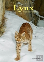 Le Lynx Et Autres Chats