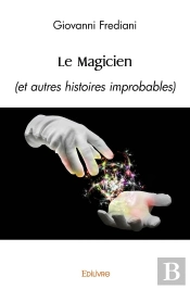 Le Magicien : (Et Autres Histoires Improbables)