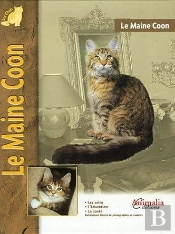 Le Maine Coon