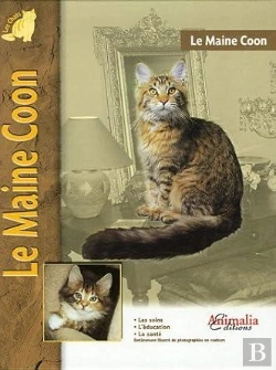 Bertrand.pt - Le Maine Coon