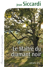 Le Maître Du Diamant Noir
