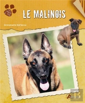 Le Malinois