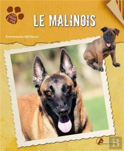 Bertrand.pt - Le Malinois