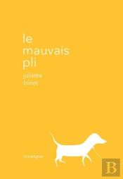 Le Mauvais Pli