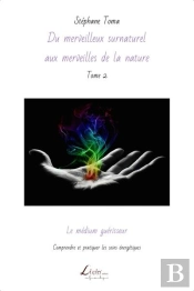 Le Medium Guerisseur : Comprendre Et Pratiquer Les Soins Energetiques