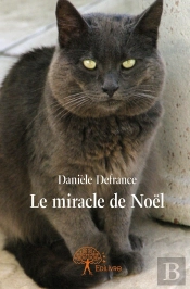 Le Miracle De Noël