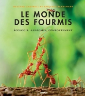 Le Monde Des Fourmis : Écologie, Anatomie, Comportement