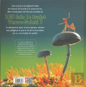 Le Monde Fascinant Des Fourmis