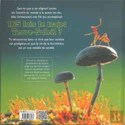 Bertrand.pt - Le Monde Fascinant Des Fourmis