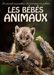 Le Monde Merveilleux Des Animaux En Photos ; Les Bébés Animaux