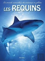 Le Monde Merveilleux Des Animaux En Photos/Les Requins