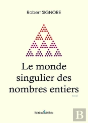 Le Monde Singulier Des Nombres Entiers