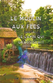 Le Moulin Aux Fees & Le Lapin Qui Grossissait - Version 'Dys'