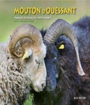 Le Mouton D'Ouessant