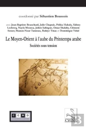 Le Moyen-Orient A L'Aube Du Printemps Arabe