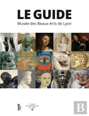 Le Musee Des Beaux Arts De Lyon Guide Des Collections