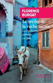Le Mythe De La Vache Sacrée ; La Condition Animale En Inde
