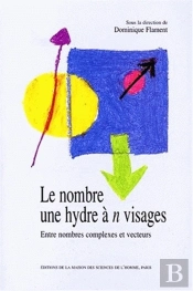 Le Nombre, Une Hydre À N Visages ; Entre Nombres Complexes Et Vecteurs