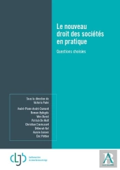 Le Nouveau Droit Des Sociétés En Pratique : Questions Choisies