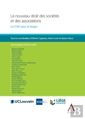 Le Nouveau Droit Des Sociétés Et Des Associations ; Le Csa Sous La Loupe