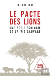 Le Pacte Des Lions
