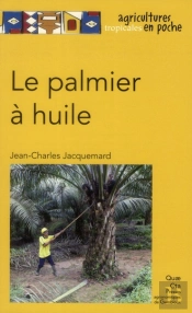 Le Palmier À Huile