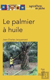 Le Palmier A Huile