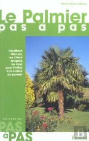 Le Palmier Pas A Pas