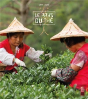 Le Pays Du Thé