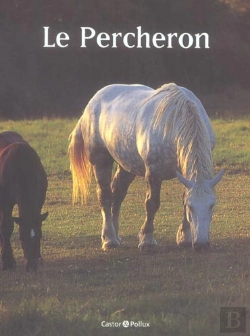 Bertrand.pt - Le Percheron