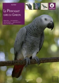 Bertrand.pt - Le Perroquet Gris Du Gabon