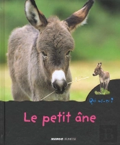 Le Petit Ane