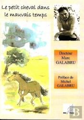 Le Petit Cheval Dans Le Mauvais Temps