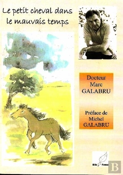 Bertrand.pt - Le Petit Cheval Dans Le Mauvais Temps