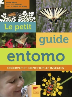 Bertrand.pt - Le Petit Guide Entomo ; Observer Et Identifier Les Insectes