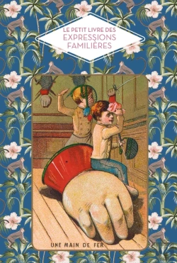 Bertrand.pt - Le Petit Livre Des Expressions Familières