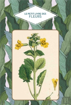 Bertrand.pt - Le Petit Livre Des Fleurs