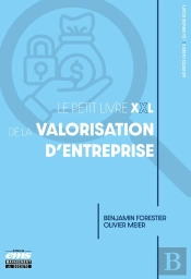 Le Petit Livre Xxl De La Valorisation D'Entreprise